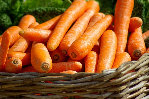 Интерпретация сна с морковью в разных сонниках: