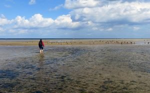 Кровать в воде во сне