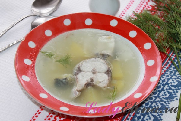 Фото рецепт супа из свежемороженой скумбрии